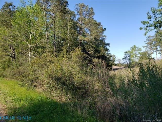 0 Campground Road Hayes, VA 23072 - Photo 3 of 4 Gallery Image 3