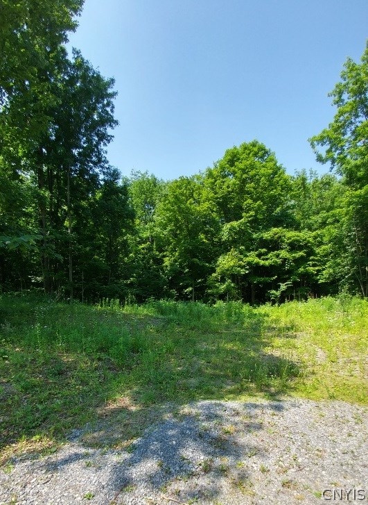 Lot 3-a-1 Lot 3-a-1 Ridge Road Fulton, NY 13069 - Photo 1 of 1 Gallery Image 1