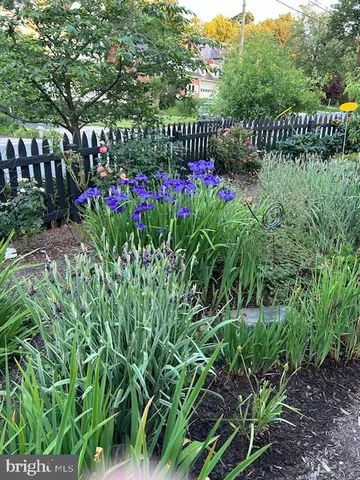 a garden view