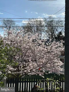 a view of a back yard with green space