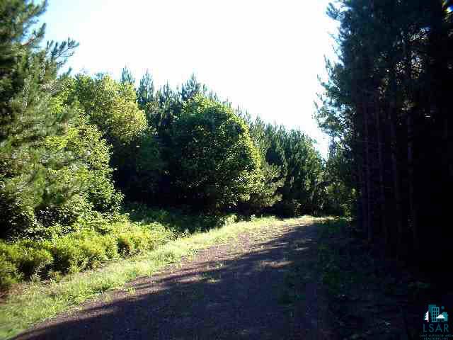 0 Forestry Road Washburn, WI 54891 - Photo 1 of 9 Gallery Image 1