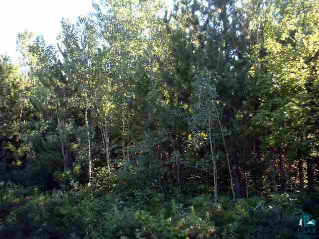 0 Forestry Road Washburn, WI 54891 - Photo 3 of 9 Gallery Image 3