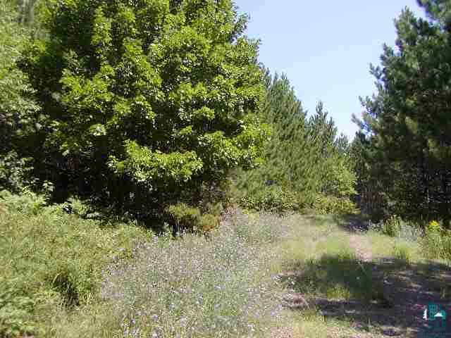 0 Forestry Road Washburn, WI 54891 - Photo 7 of 9 Gallery Image 7