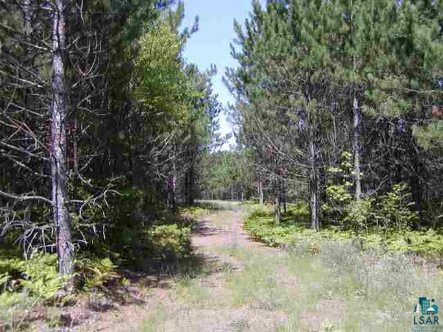 0 Forestry Road Washburn, WI 54891 - Photo 8 of 9 Gallery Image 8