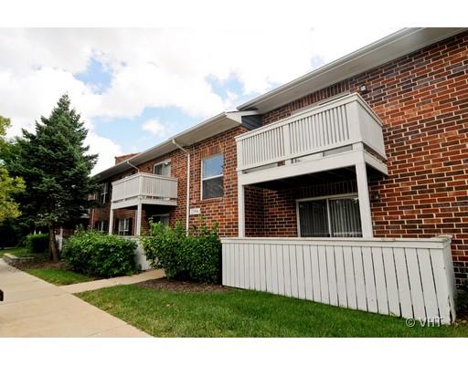 2394 South Goebbert Road, Unit 1033 Arlington Heights, IL 60005 - Photo 1 of 1