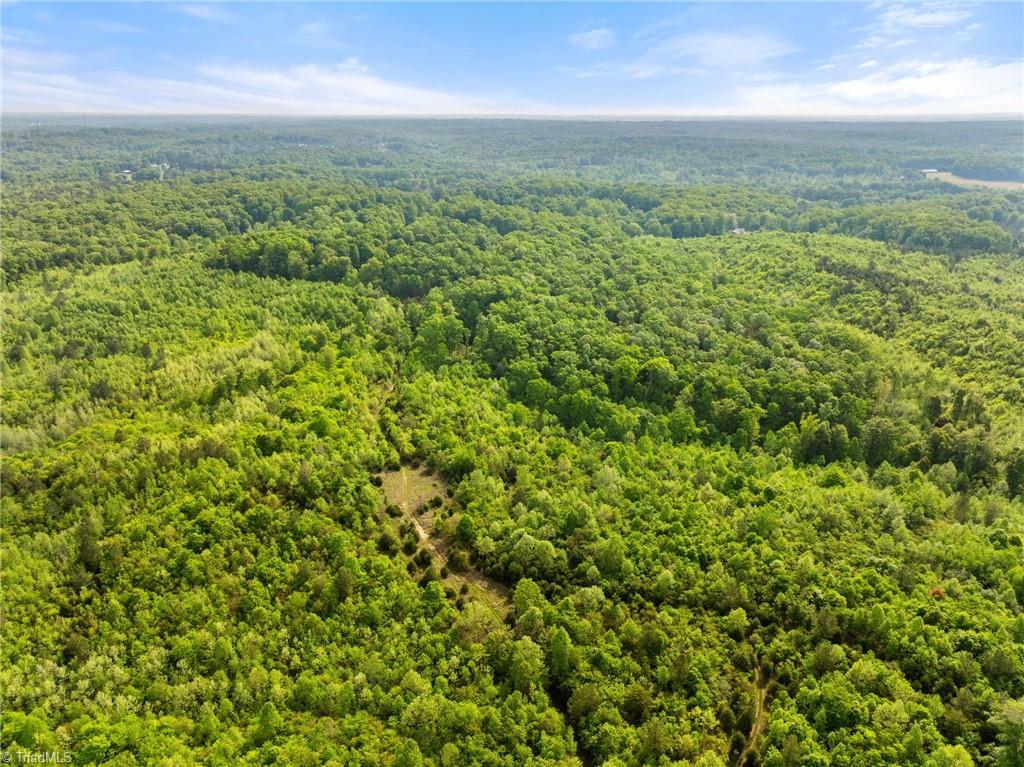 0 Hauser Road Lewisville, NC 27023 - Photo 4 of 6