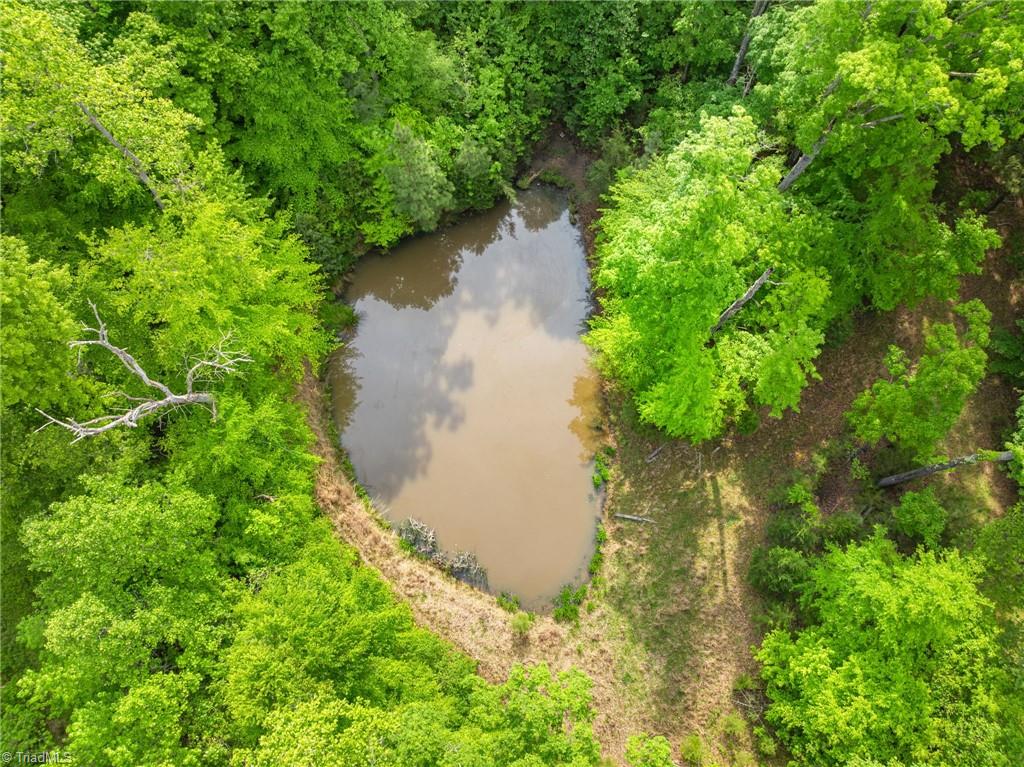 0 Hauser Road Lewisville, NC 27023 - Photo 6 of 6