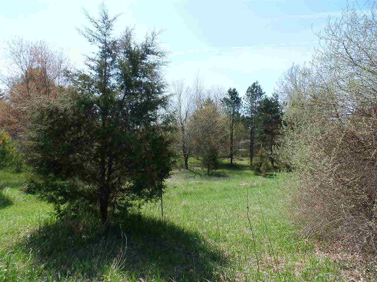 Sweezy Lake Road, Unit V/L Brooklyn, MI 49230 - Photo 13 of 21 Gallery Image 13
