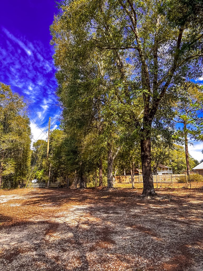 154 Open Pond Road Samson, AL 36477 - Photo 17 of 17