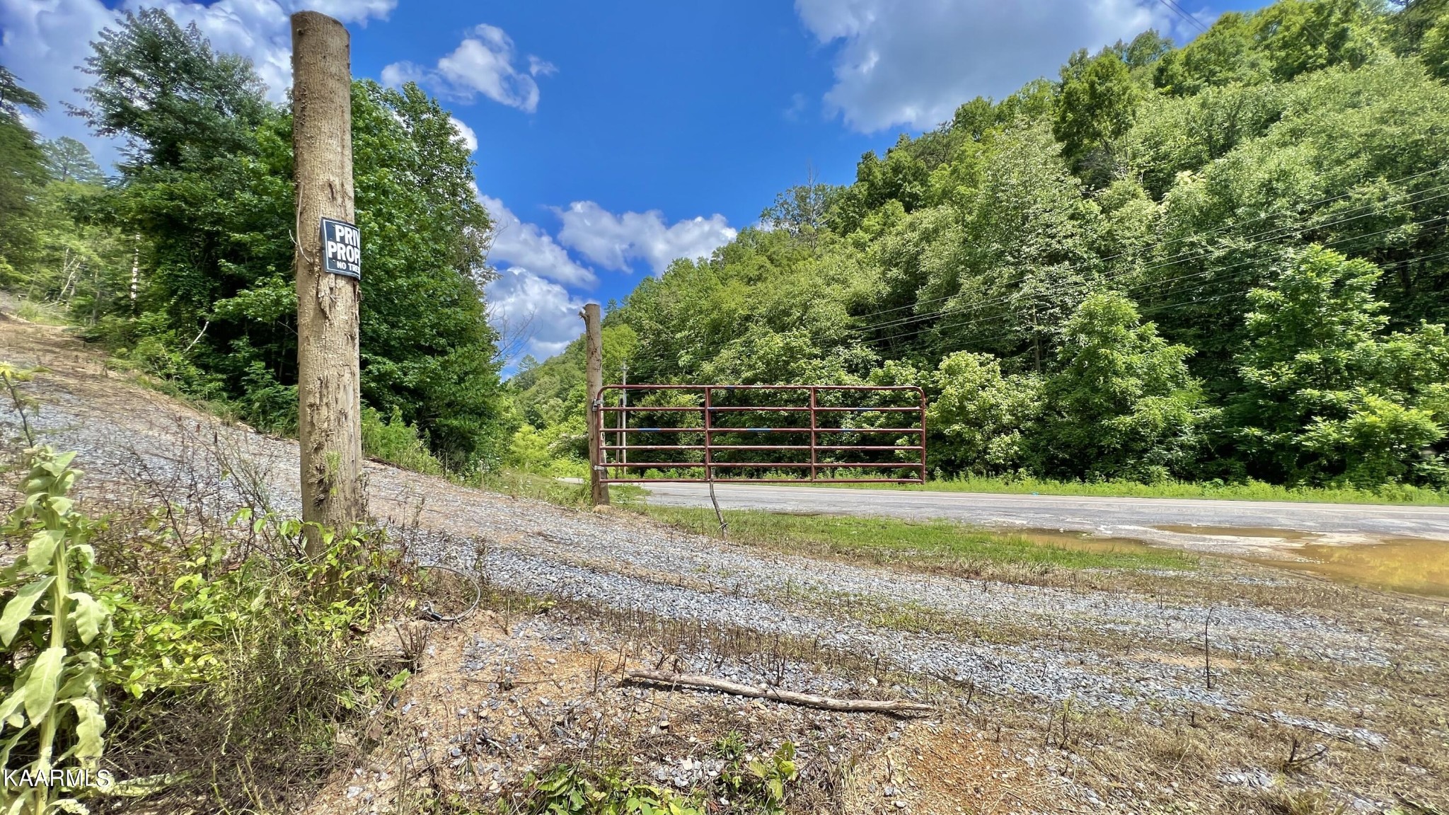 4965 Jones Cove Road Cosby, TN 37722 - Photo 13 of 50 a view of a yard with an outdoor space