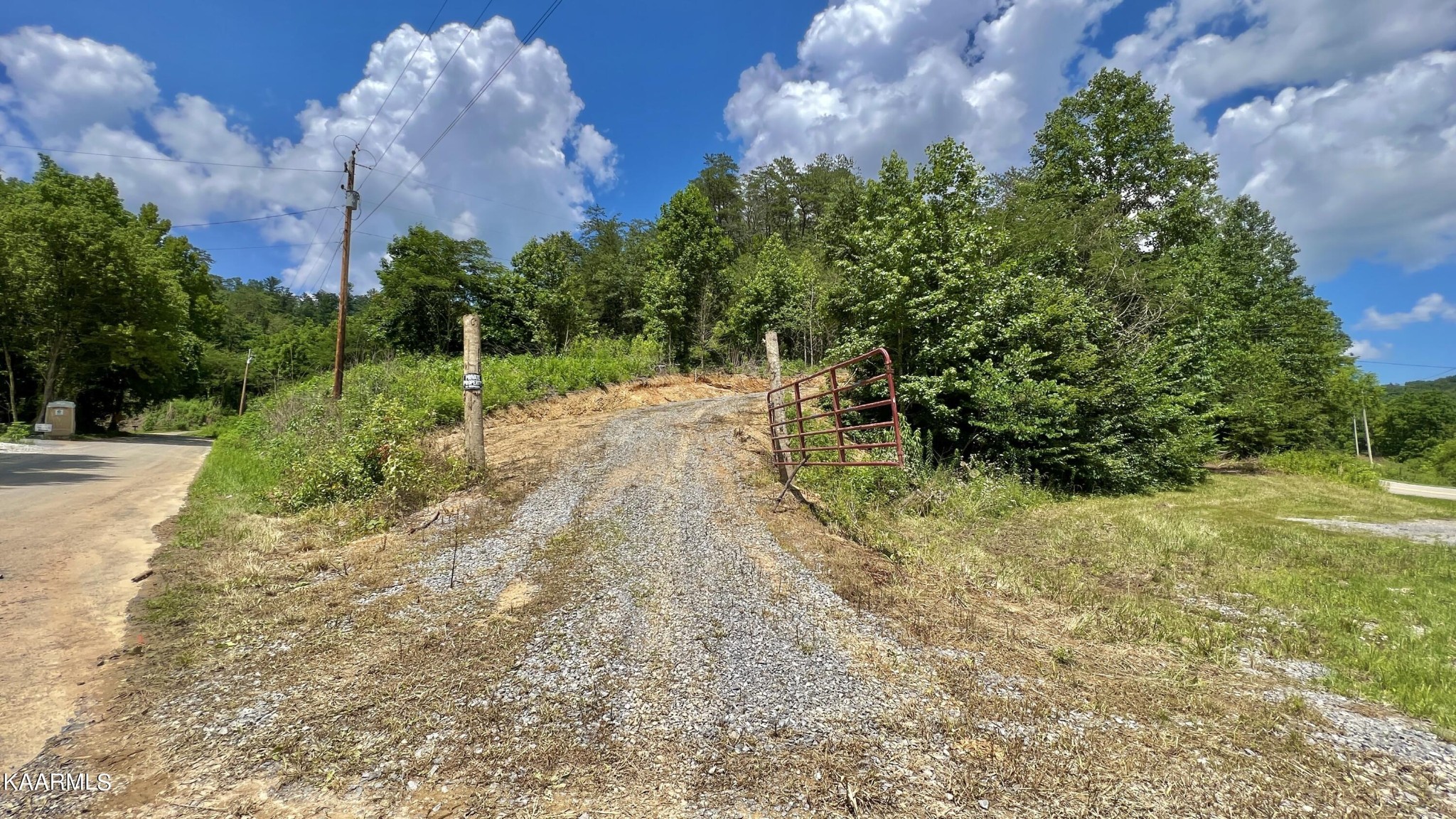 4965 Jones Cove Road Cosby, TN 37722 - Photo 14 of 50 a backyard of a house with lots of green space