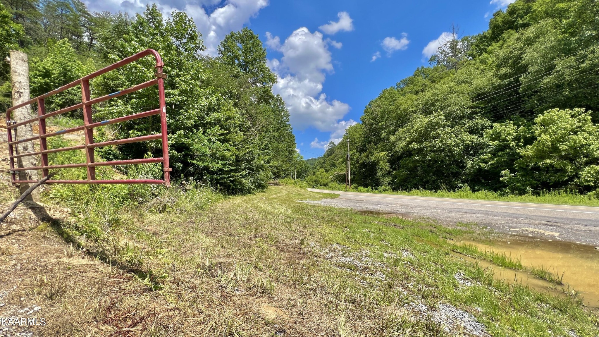 4965 Jones Cove Road Cosby, TN 37722 - Photo 15 of 50 a view of a yard with plants and large trees