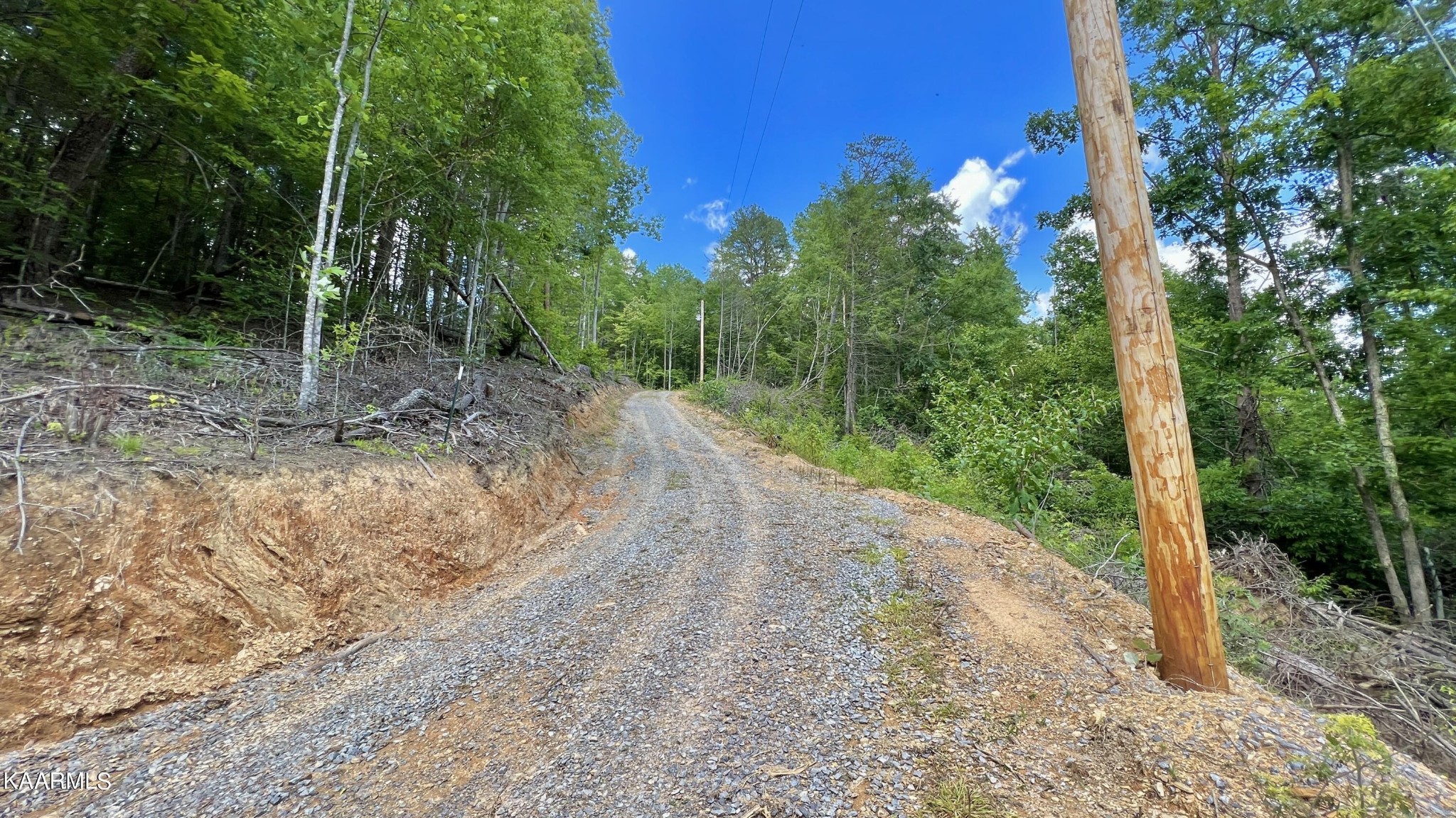 4965 Jones Cove Road Cosby, TN 37722 - Photo 22 of 50 a view of a dirt road with trees in the background