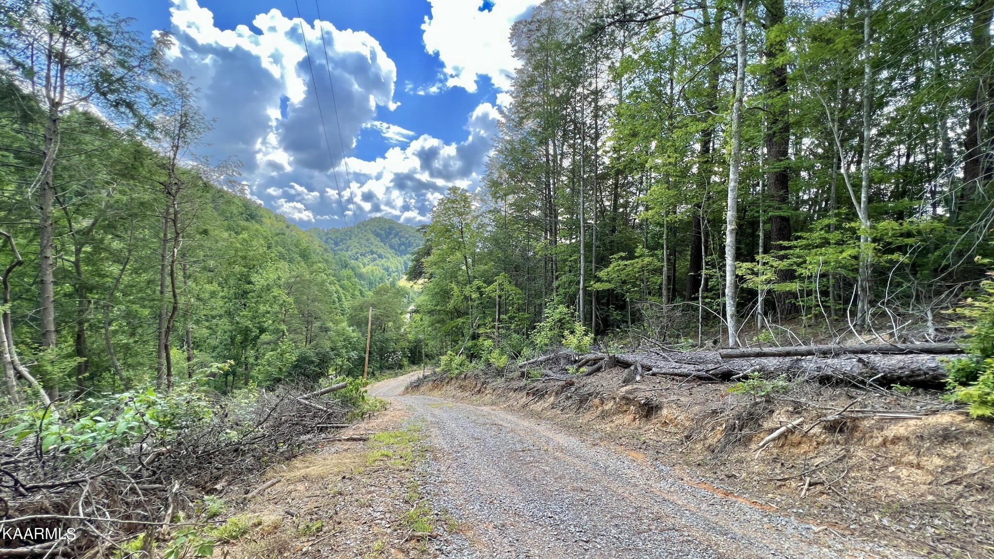 4965 Jones Cove Road Cosby, TN 37722 - Photo 23 of 50 a view of a yard