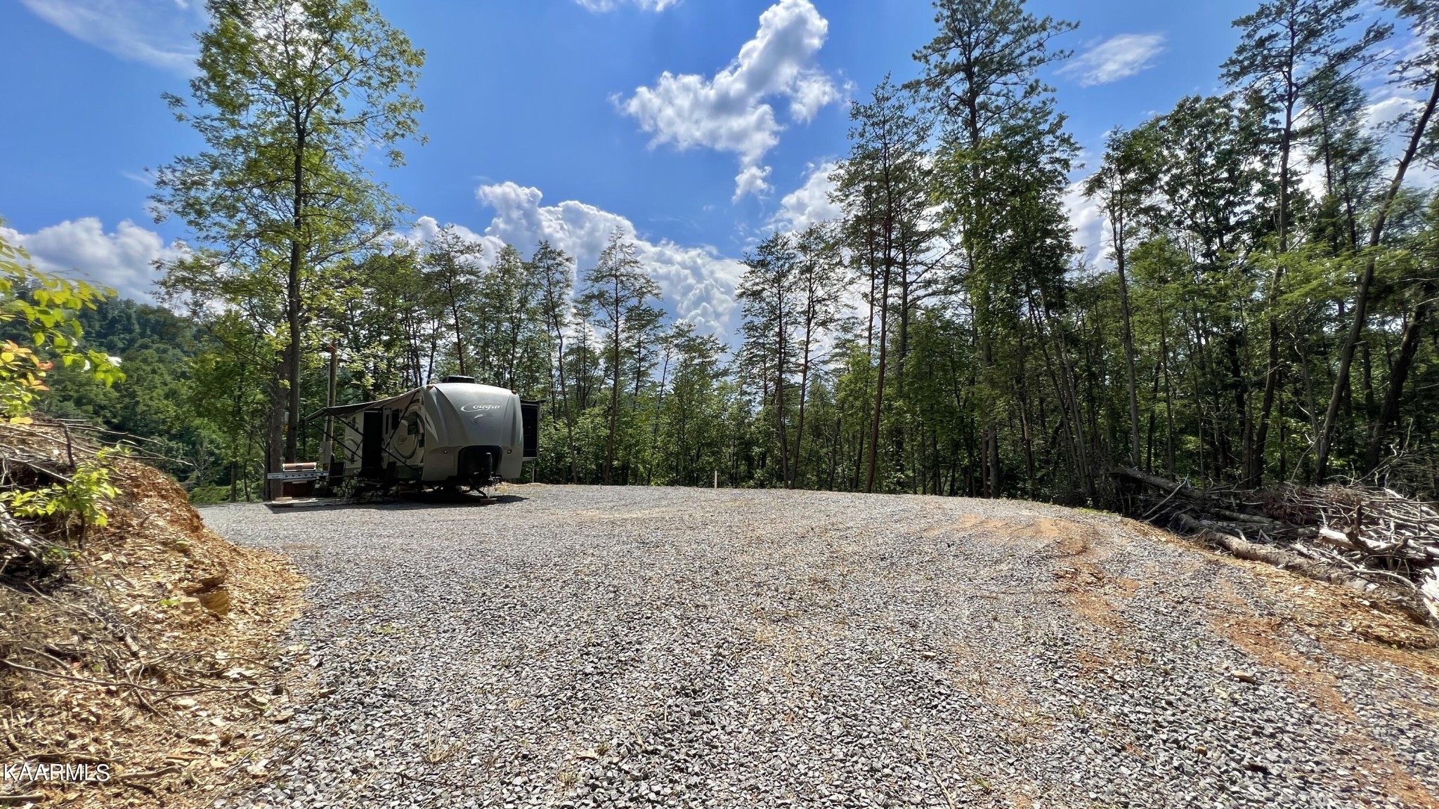 4965 Jones Cove Road Cosby, TN 37722 - Photo 35 of 50 a view of a dry yard with trees