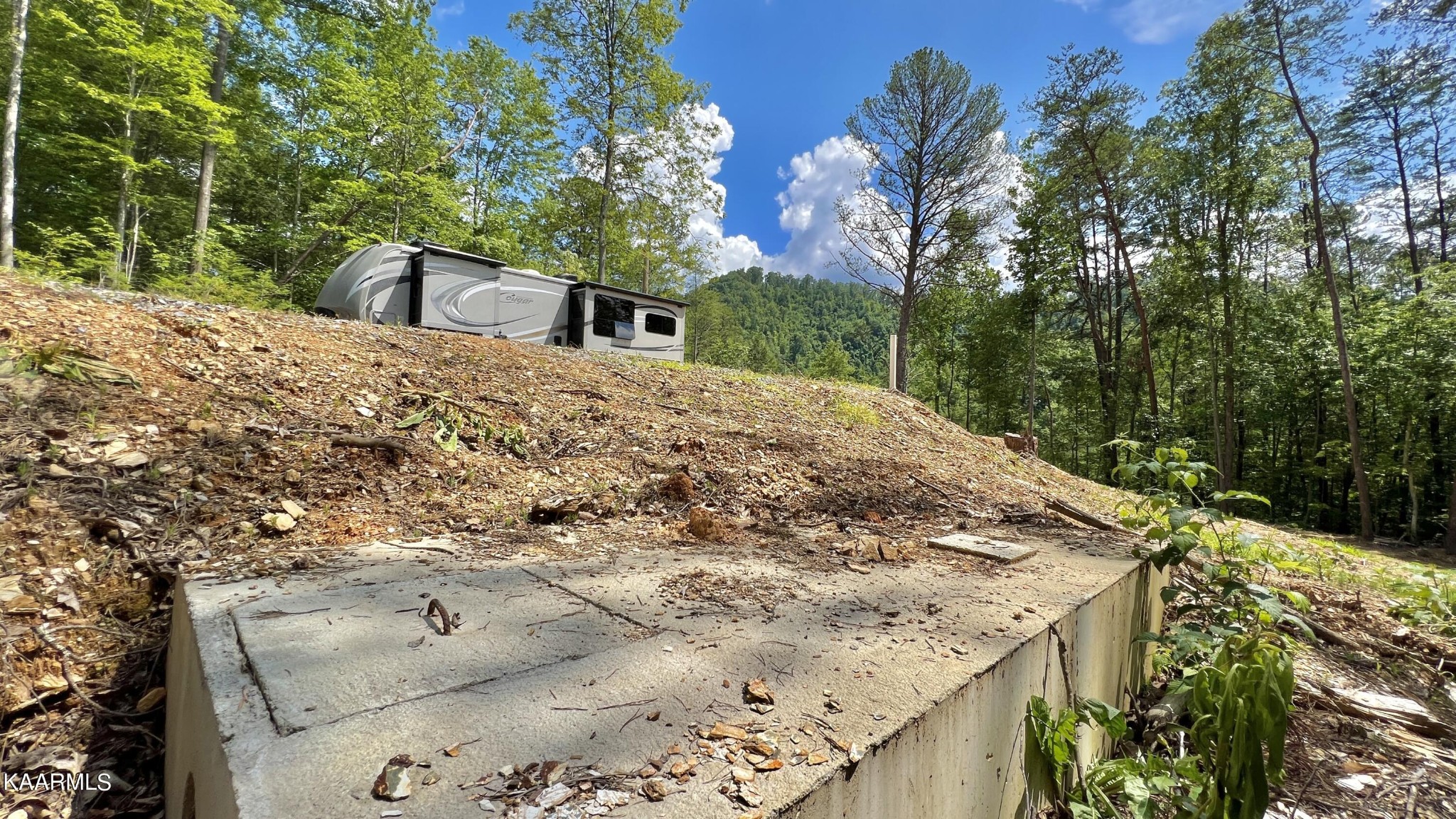 4965 Jones Cove Road Cosby, TN 37722 - Photo 36 of 50 a view of a house with a yard