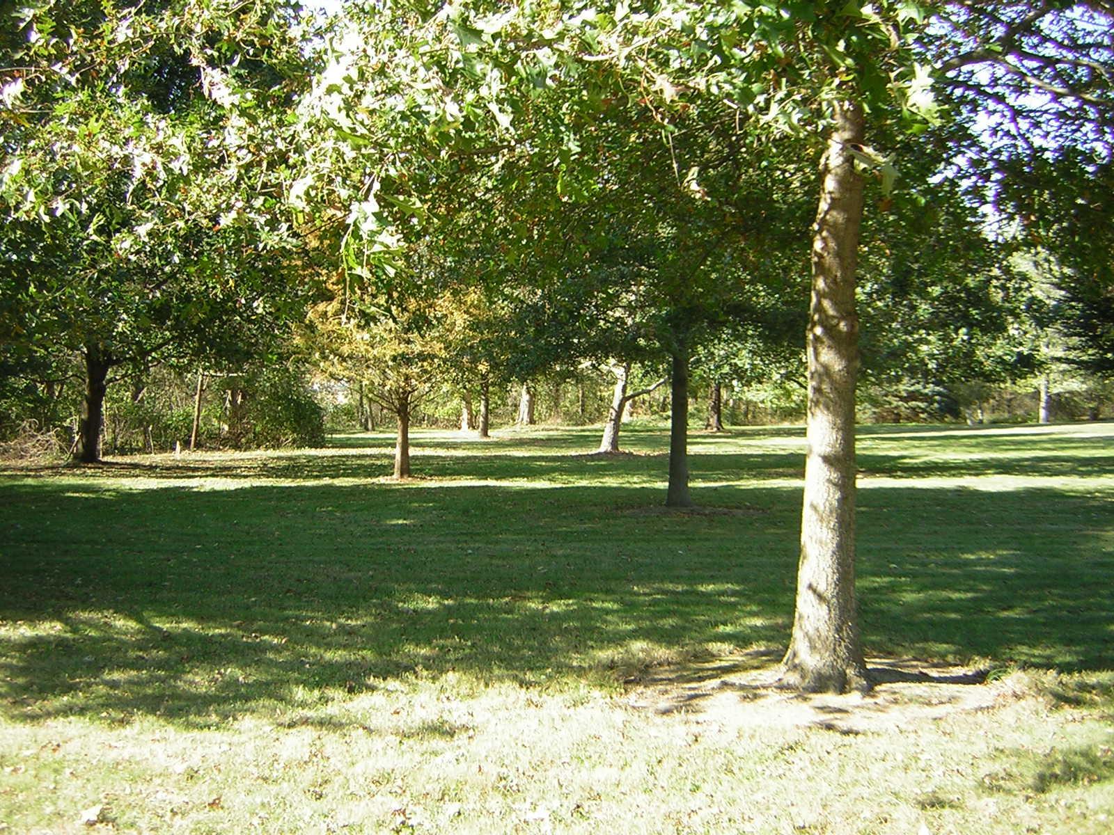 8072 Lithopolis Road Canal Winchester, OH 43110 - Photo 7 of 30 Gallery Image 7