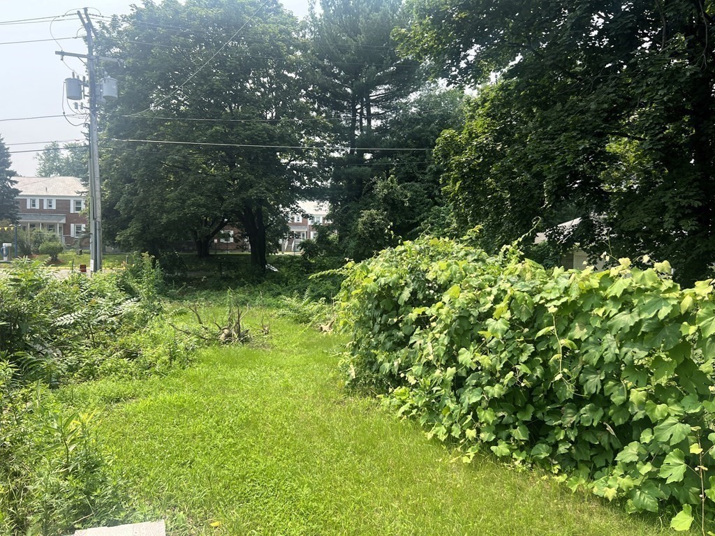 227 Grove Street Worcester, MA 01605 - Photo 4 of 6 a backyard of a house with lots of green space