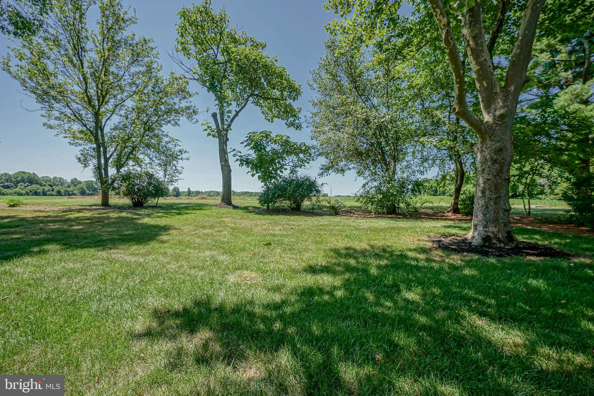 261 Jessups Mill Road Clarksboro, NJ 08020 - Photo 49 of 56 Rear Yard