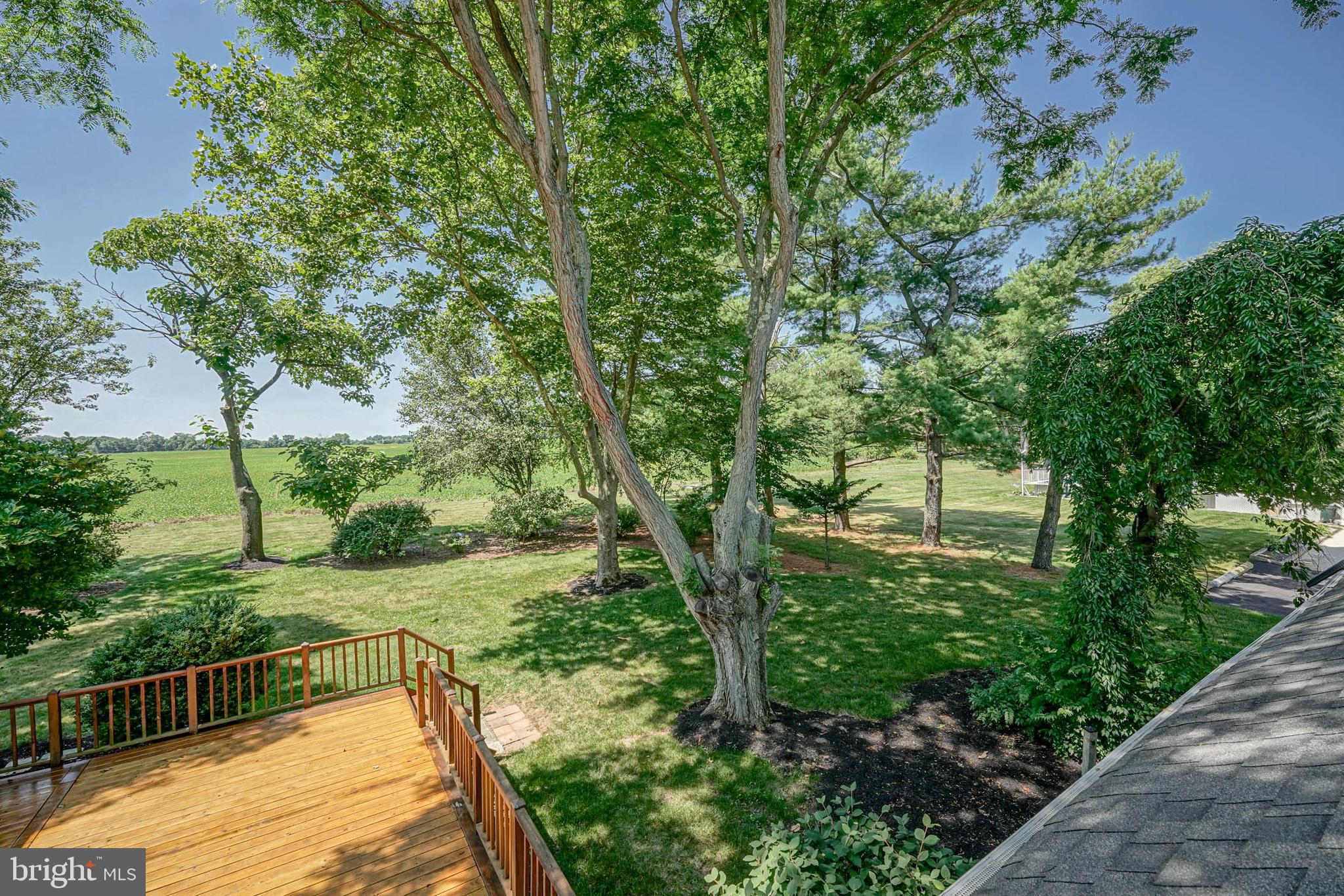 261 Jessups Mill Road Clarksboro, NJ 08020 - Photo 52 of 56 Rear Yard View