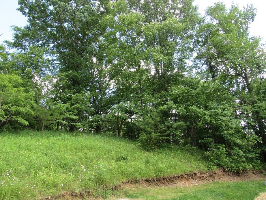 449 Laurel Creek Road Northeast Pilot, VA 24138 - Photo 60 of 72 449 Laurel Creek behind house 3