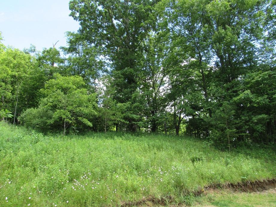 449 Laurel Creek Road Northeast Pilot, VA 24138 - Photo 61 of 72 449 Laurel Creek behind house