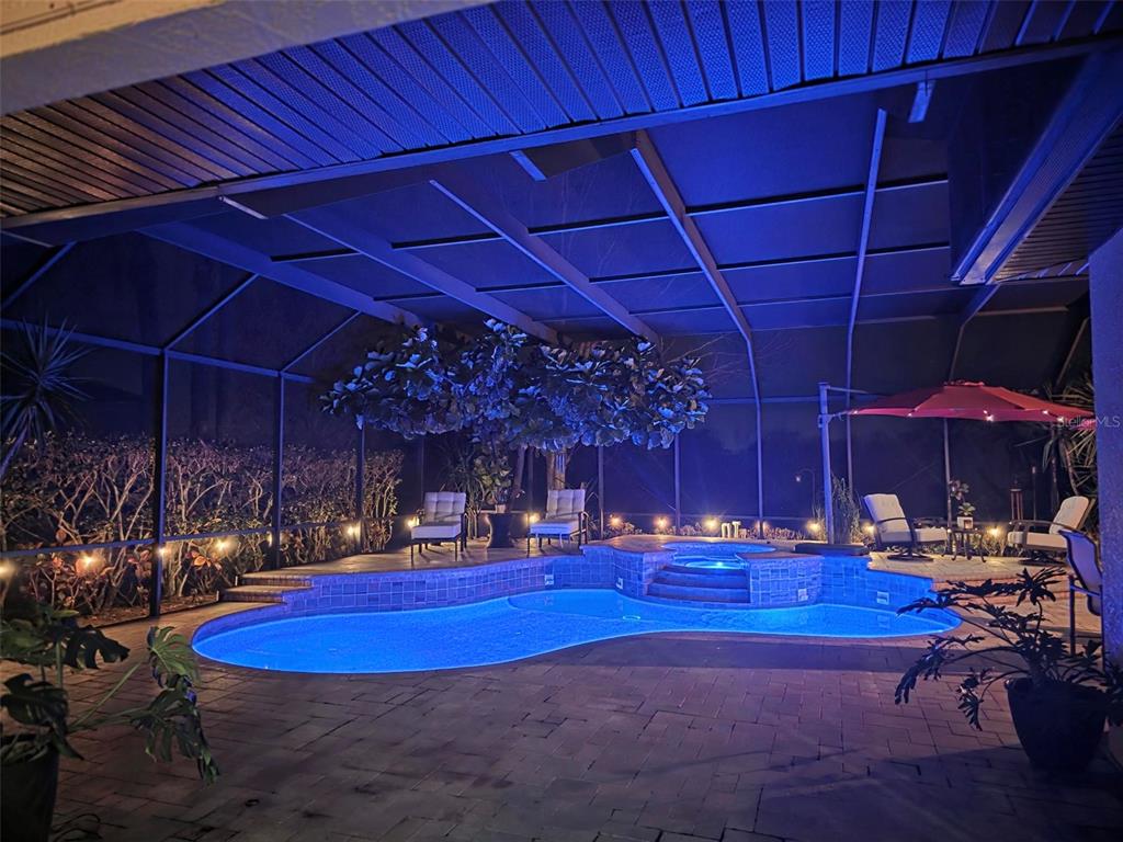 11011 Hyacinth Place Lakewood Ranch, FL 34202 - Photo 11 of 78