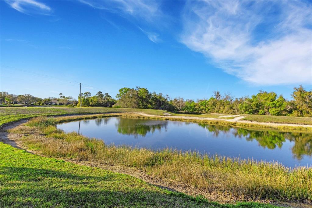 11011 Hyacinth Place Lakewood Ranch, FL 34202 - Photo 7 of 78
