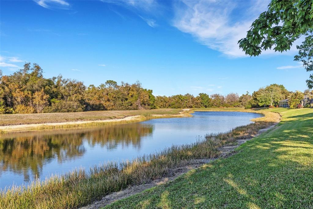 11011 Hyacinth Place Lakewood Ranch, FL 34202 - Photo 8 of 78