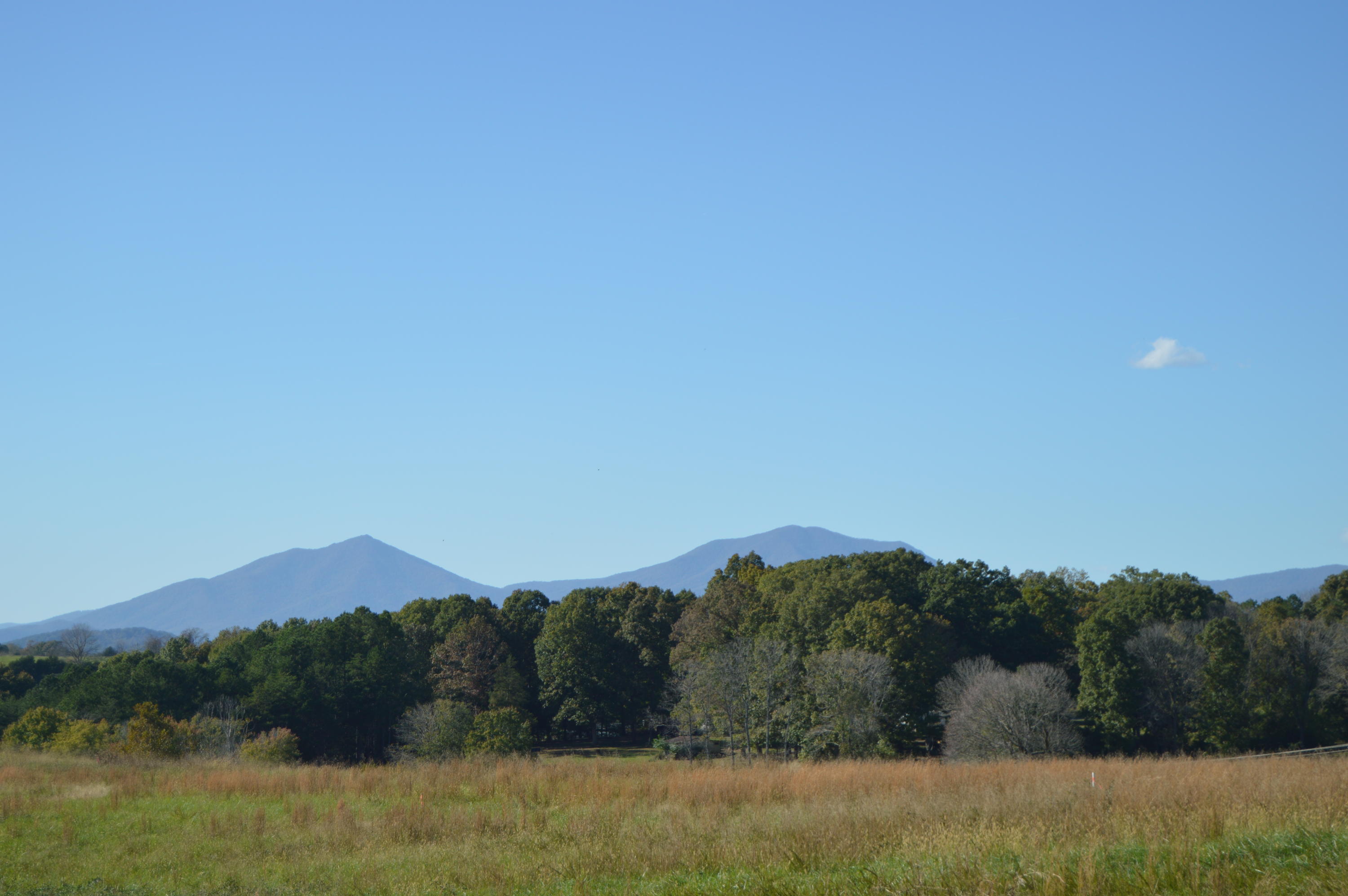a view of a mountain
