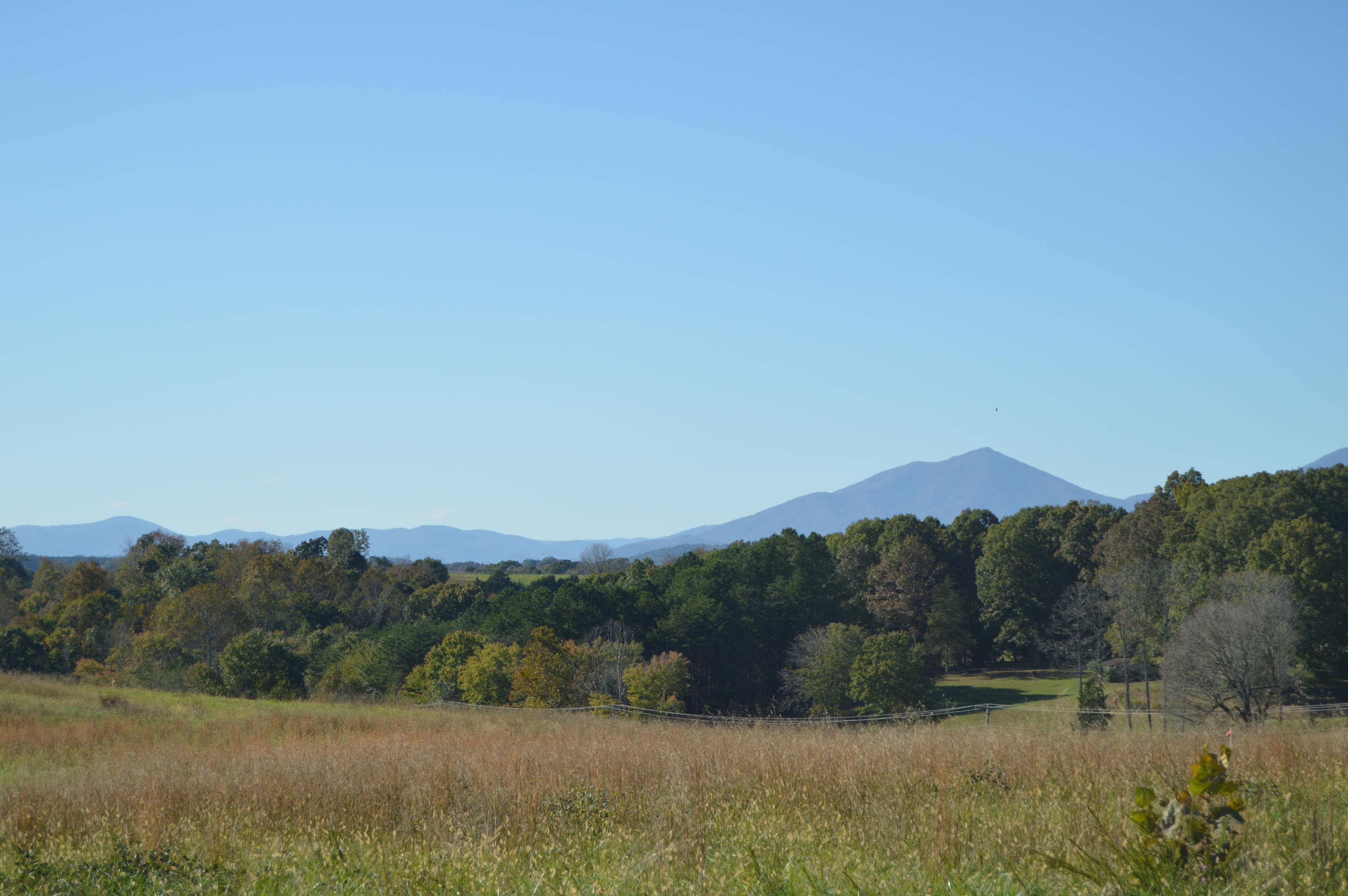 Lot 7 Goode Station Road Goode, VA 24556 - Photo 6 of 17 a view of mountain with trees in the background