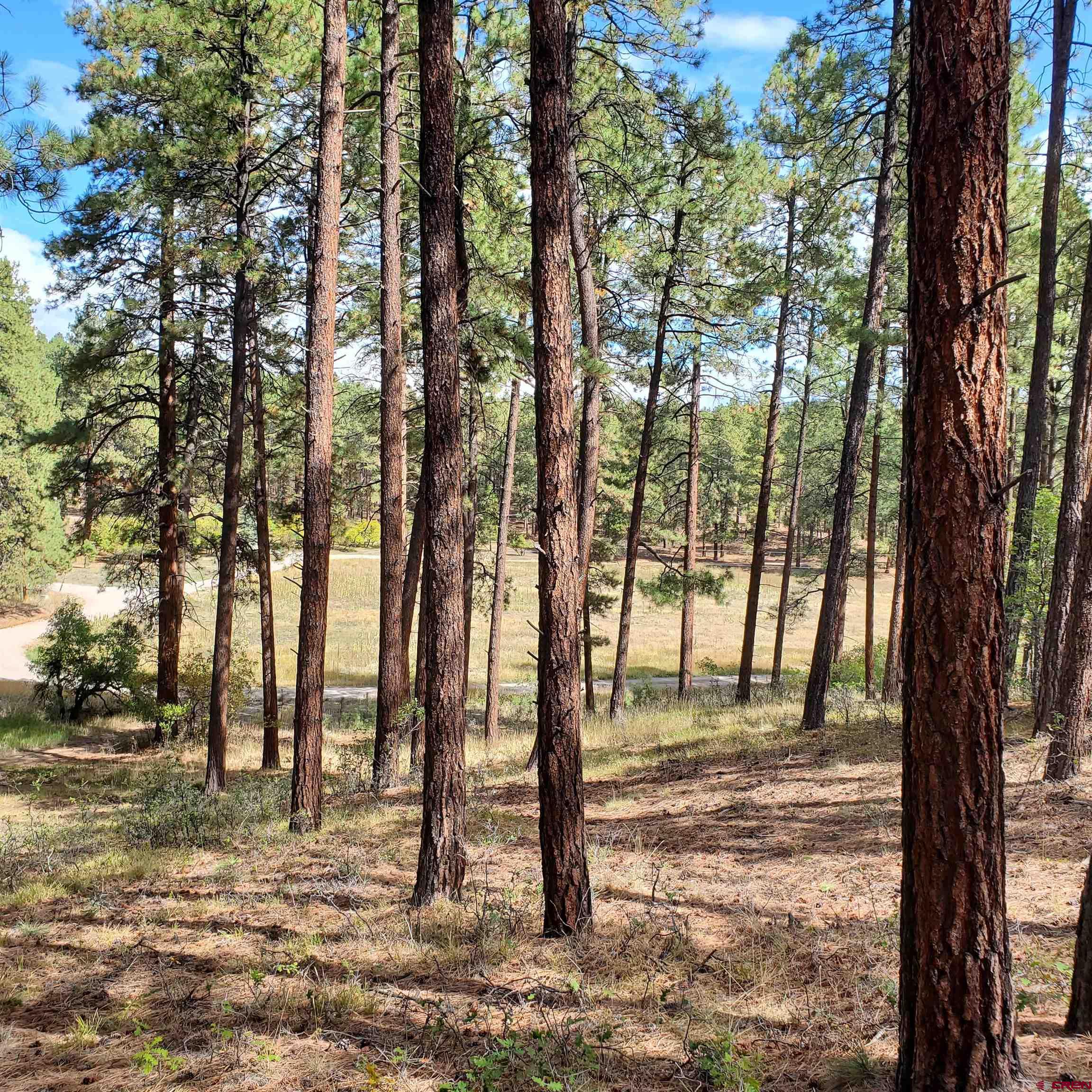 282 Pine Lane Bayfield, CO 81122 - Photo 13 of 16