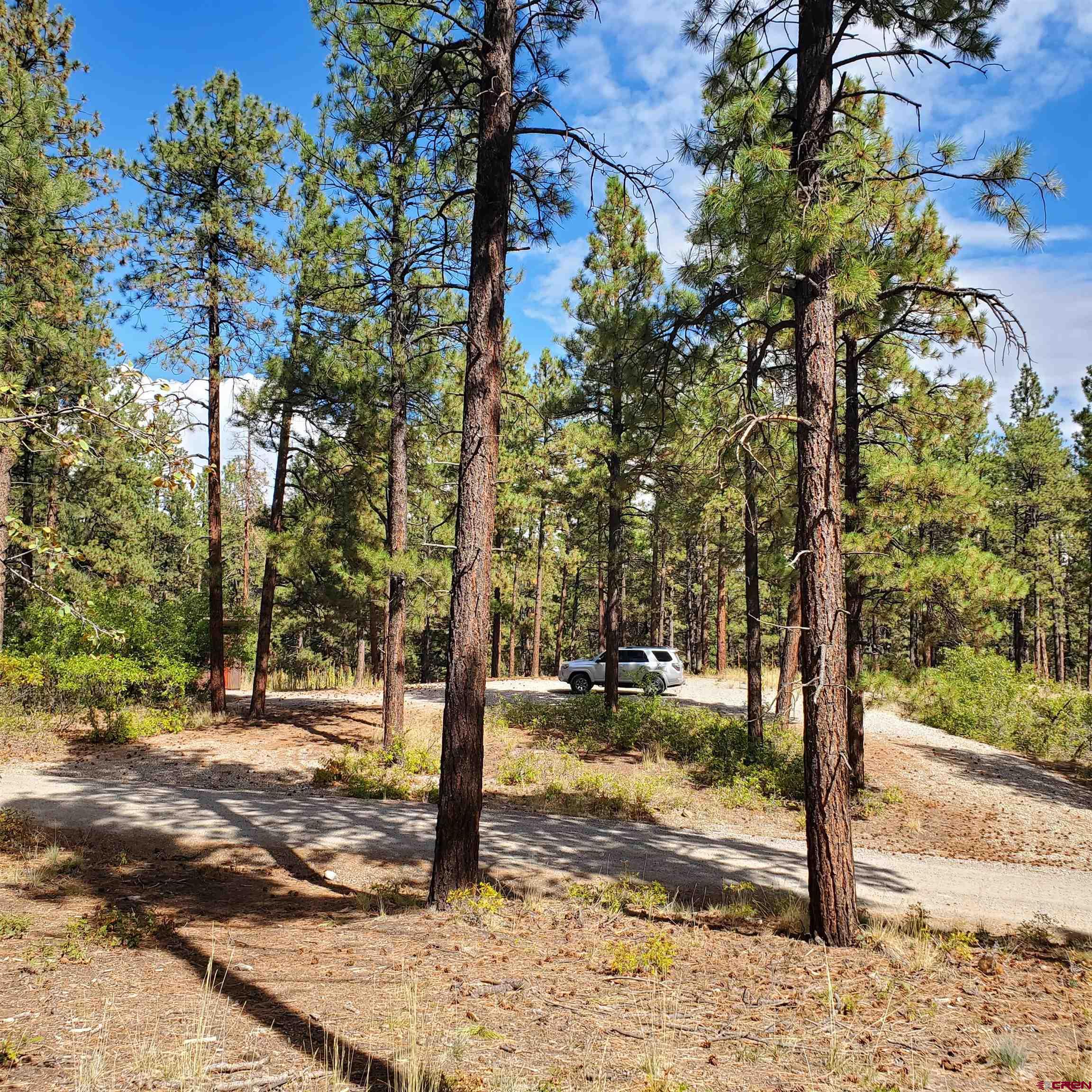 282 Pine Lane Bayfield, CO 81122 - Photo 7 of 16