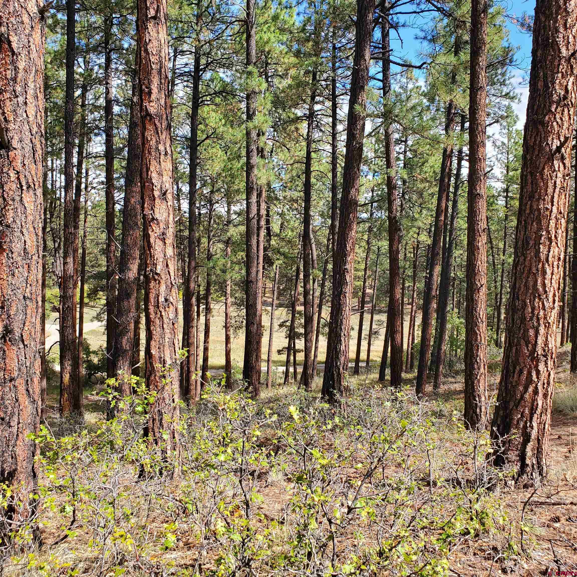 282 Pine Lane Bayfield, CO 81122 - Photo 8 of 16 a view of outdoor space with deck