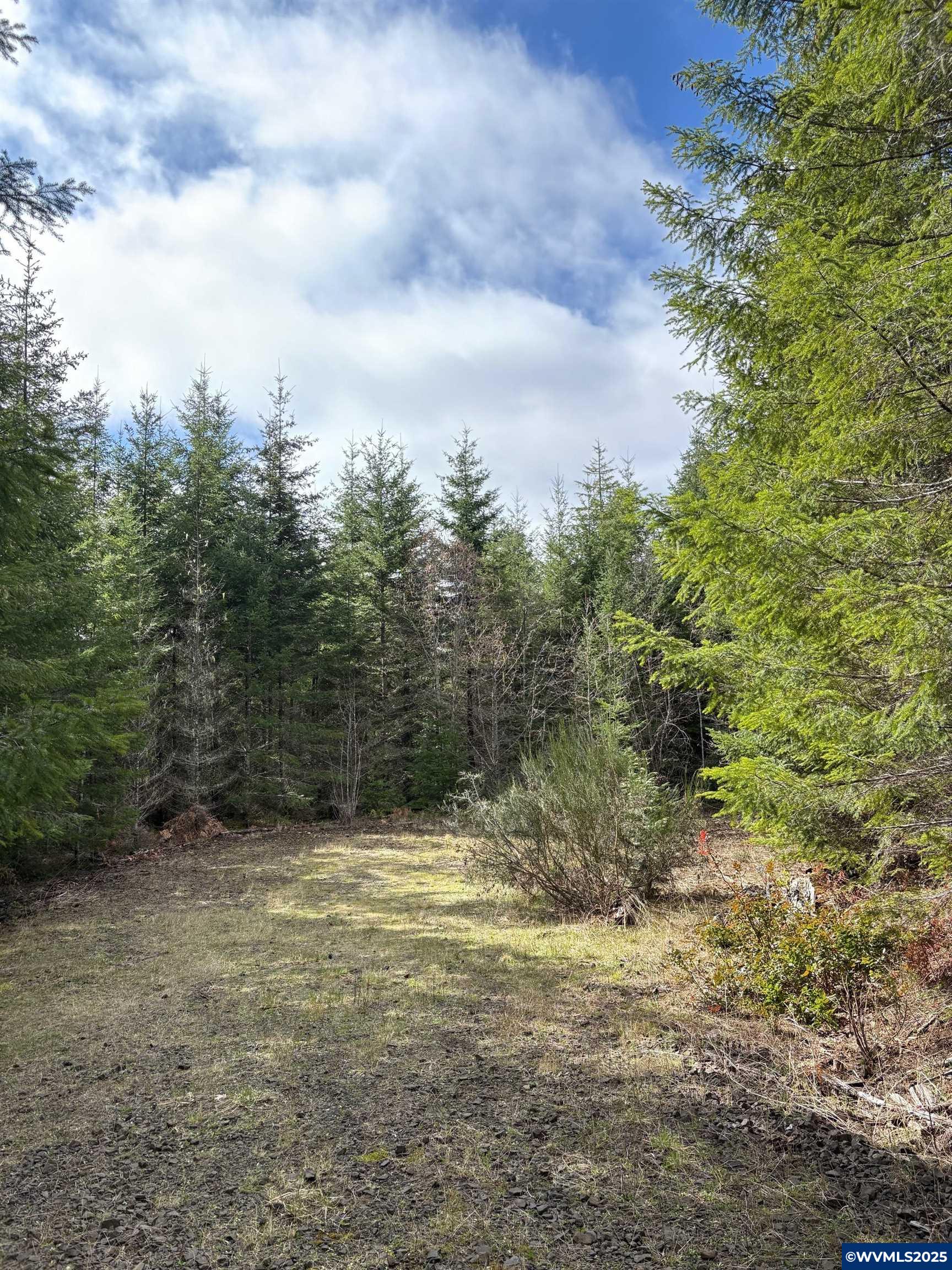 0 Boiler Creek Road Springfield, OR 97478 - Photo 6 of 26