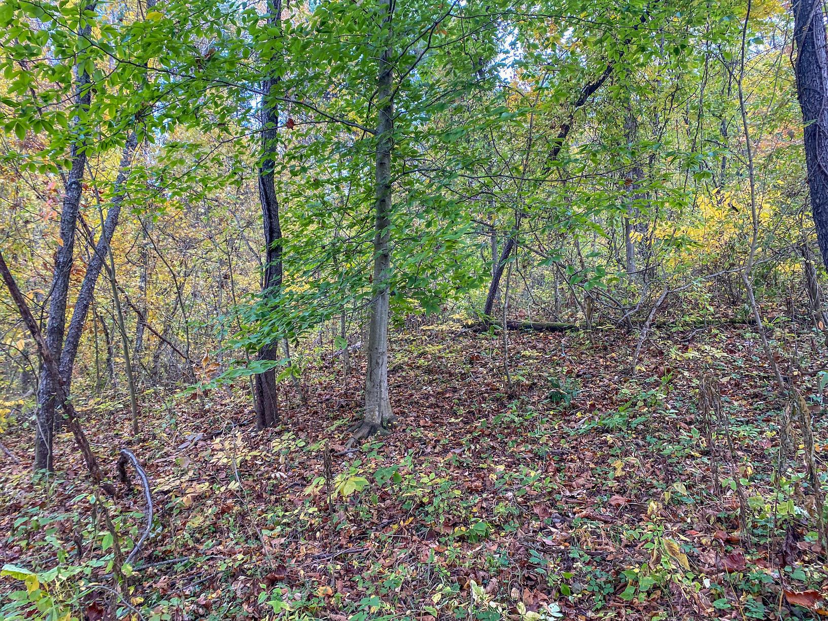 0 Westview Road Cambridge, OH 43725 - Photo 4 of 20