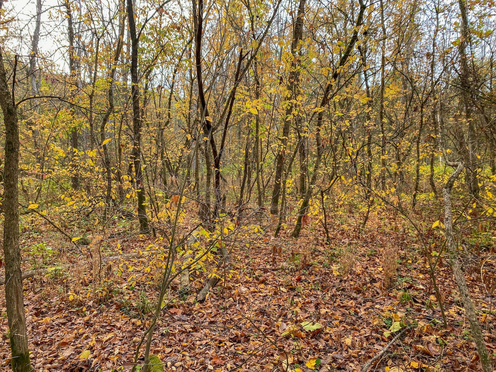 0 Westview Road Cambridge, OH 43725 - Photo 7 of 20