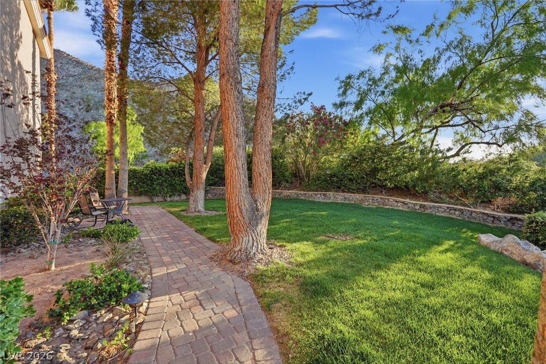 19 Strada Di Circolo Henderson, NV 89011 - Photo 43 of 45 DOG PARK