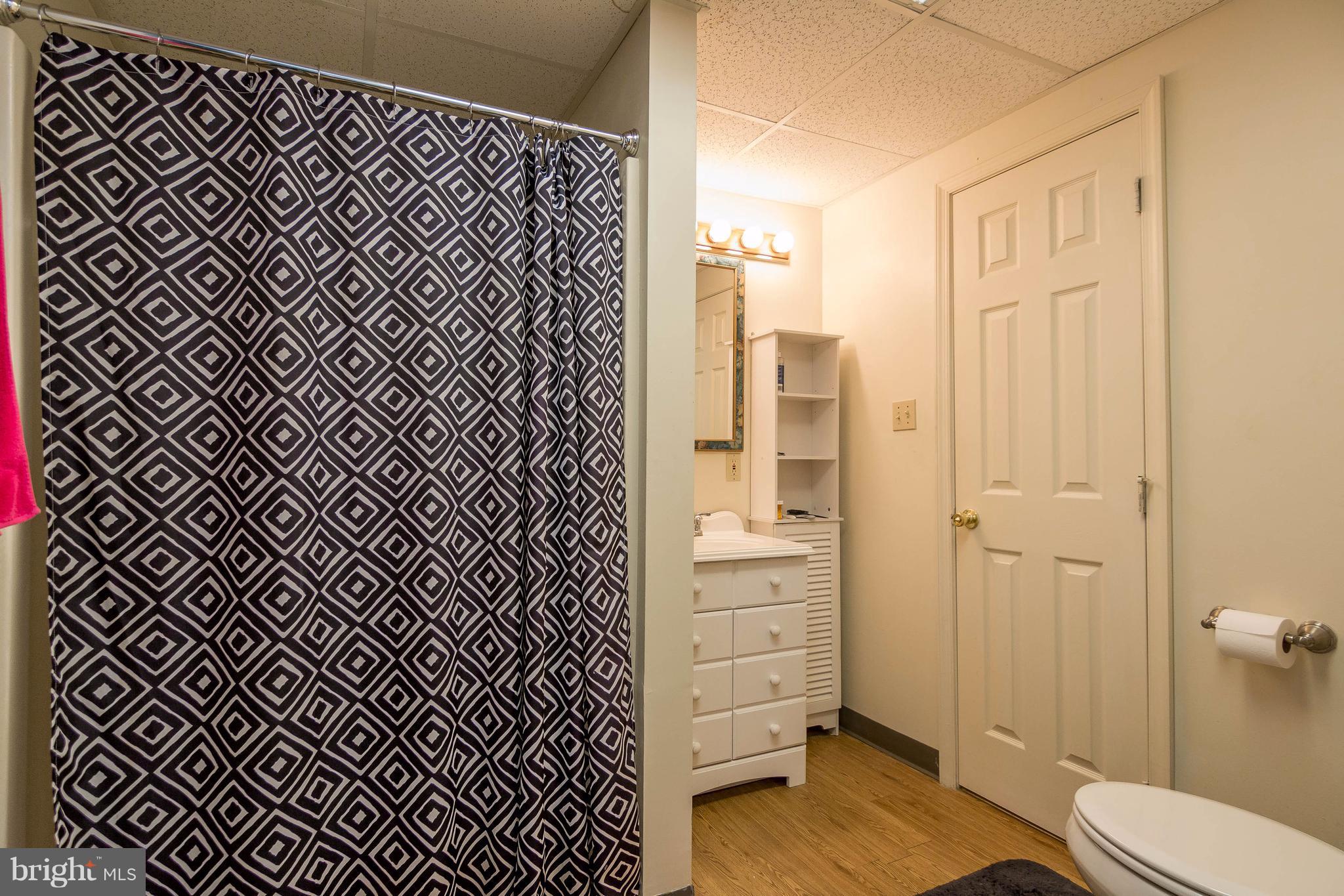 4009 Bill Moxley Road Mount Airy, MD 21771 - Photo 16 of 22 a bathroom with a sink a toilet a shower and a mirror