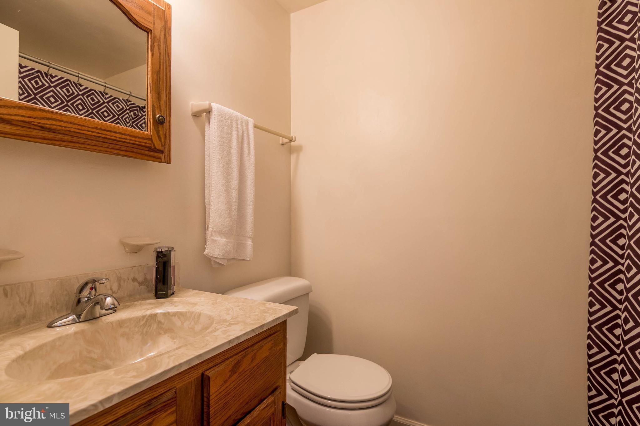4009 Bill Moxley Road Mount Airy, MD 21771 - Photo 9 of 22 a bathroom with a sink a toilet and mirror