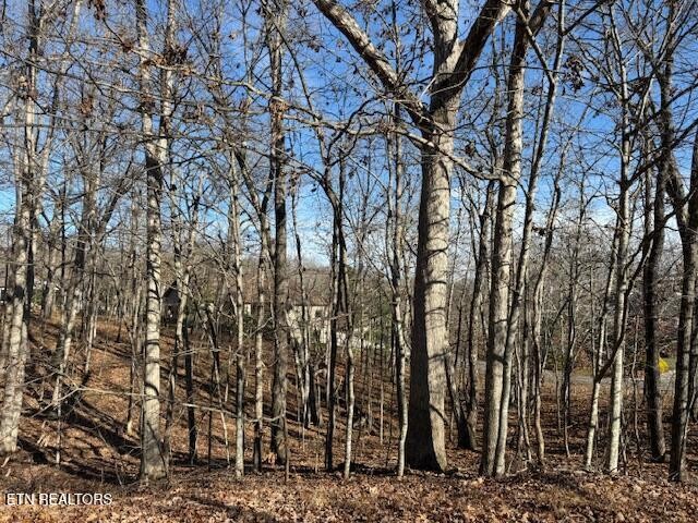 123 Walden Ridge Drive Crossville, TN 38558 - Photo 2 of 3