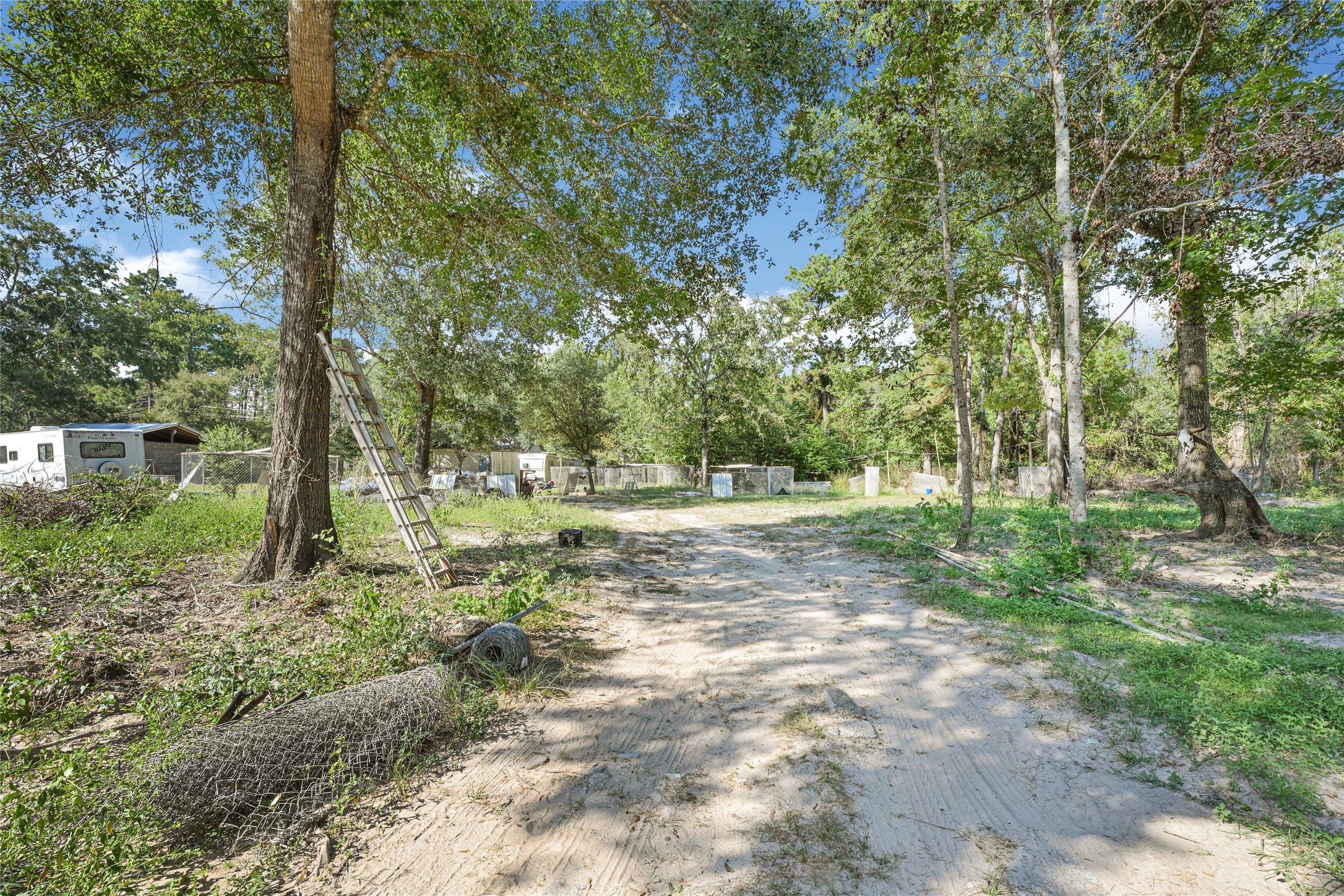 a view of outdoor space with trees