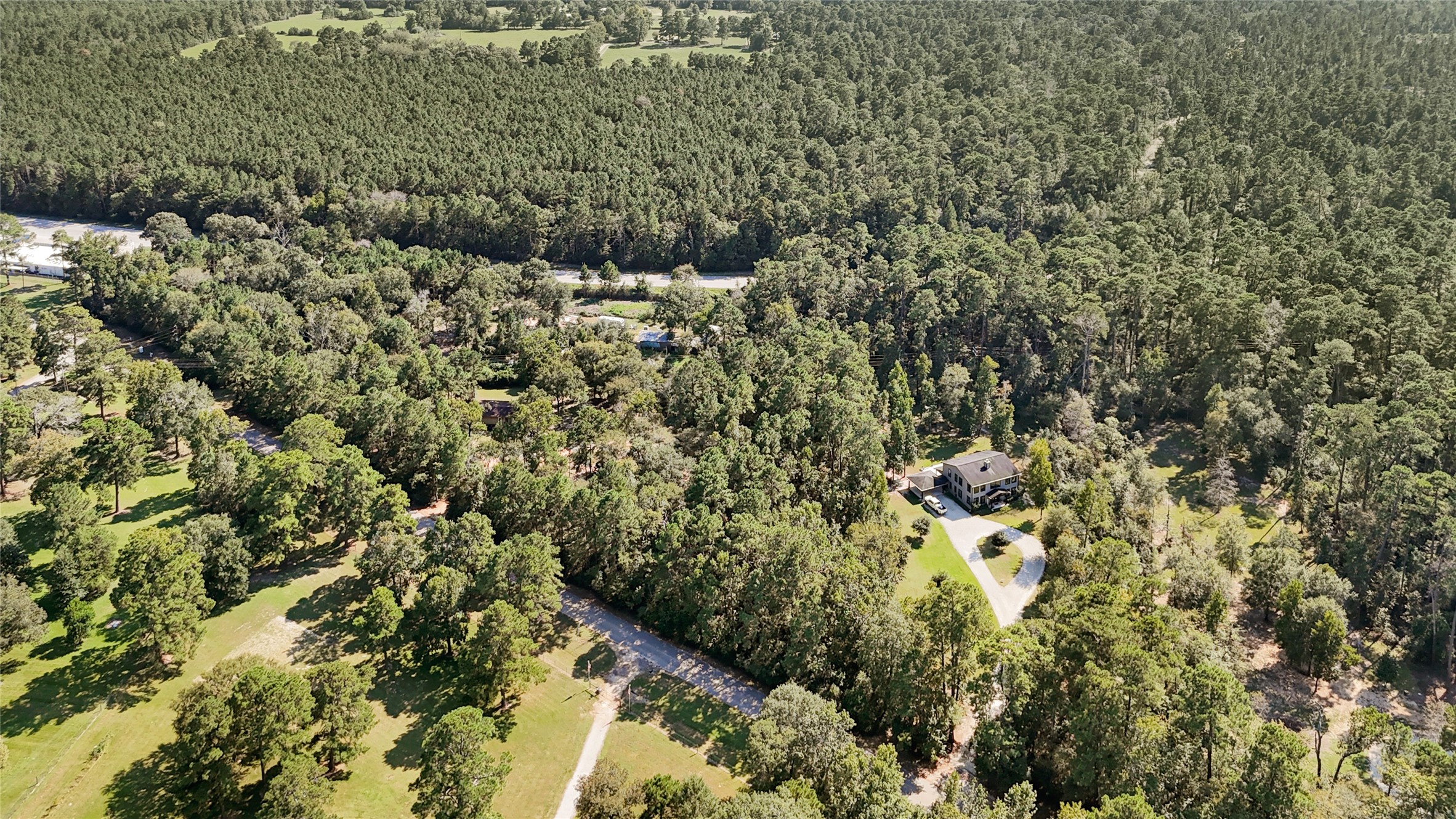 157 Jim Browder Road Willis, TX 77378 - Photo 12 of 17 a view of a forest with a house