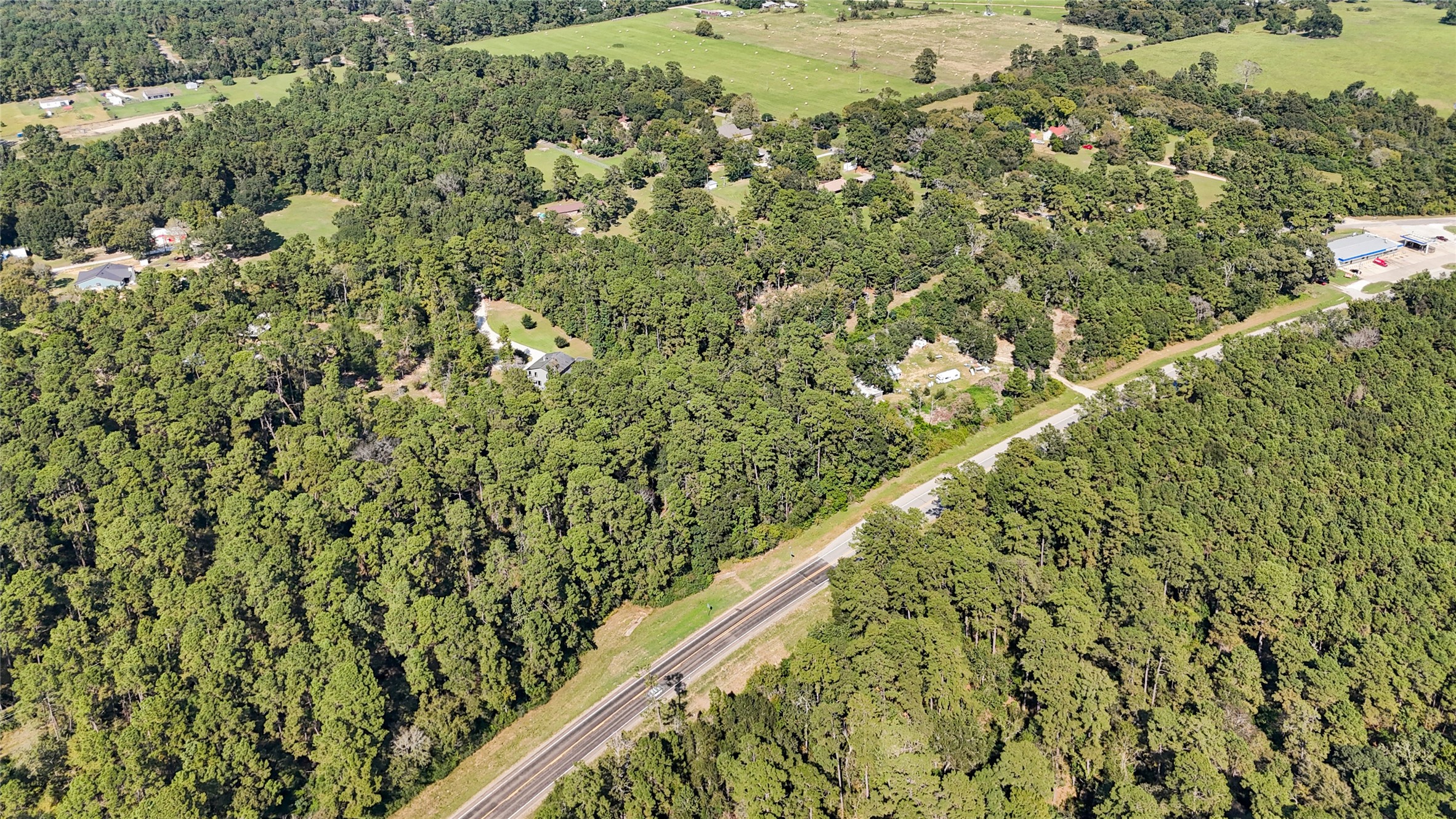157 Jim Browder Road Willis, TX 77378 - Photo 16 of 17 a picture of a tree