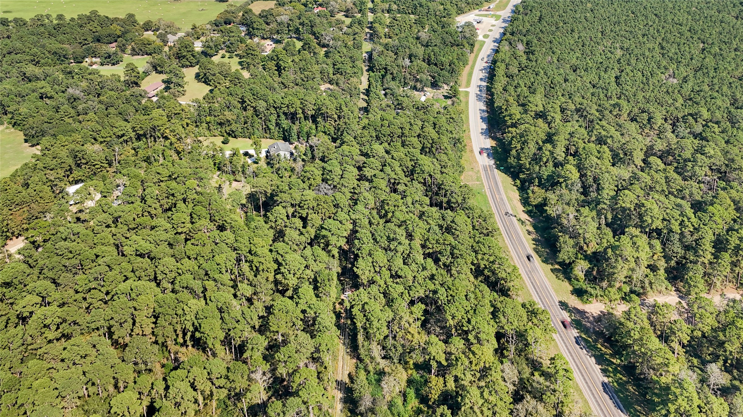 157 Jim Browder Road Willis, TX 77378 - Photo 17 of 17 a view of a lush green forest with lots of trees