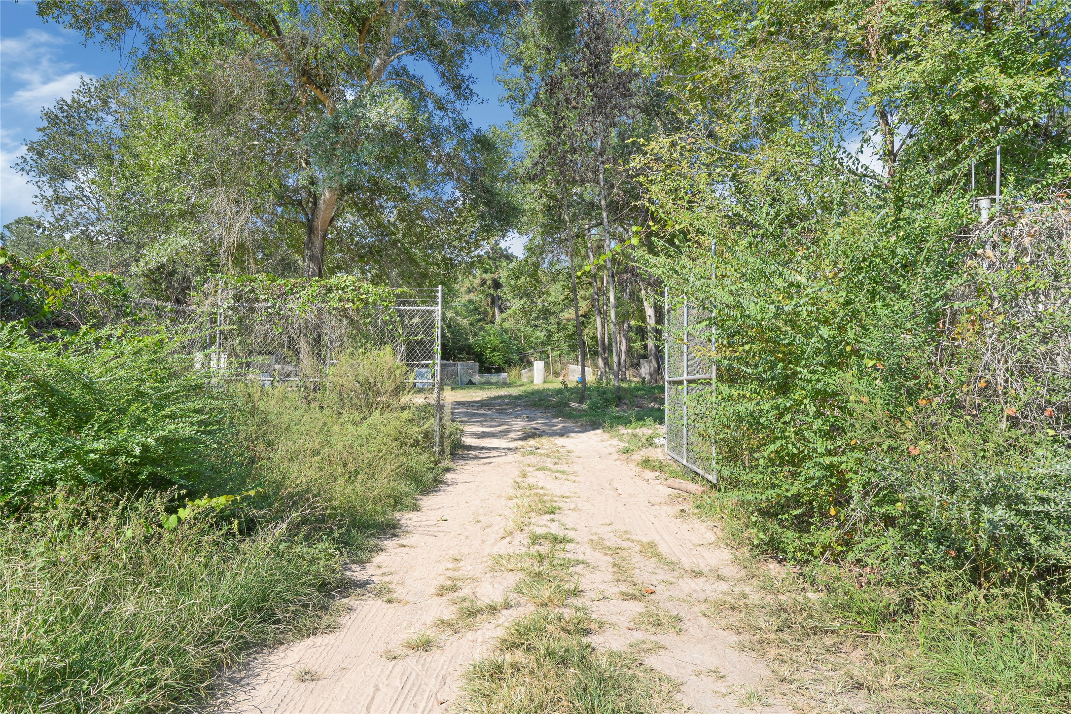 157 Jim Browder Road Willis, TX 77378 - Photo 7 of 17 a view of a yard with plants and trees