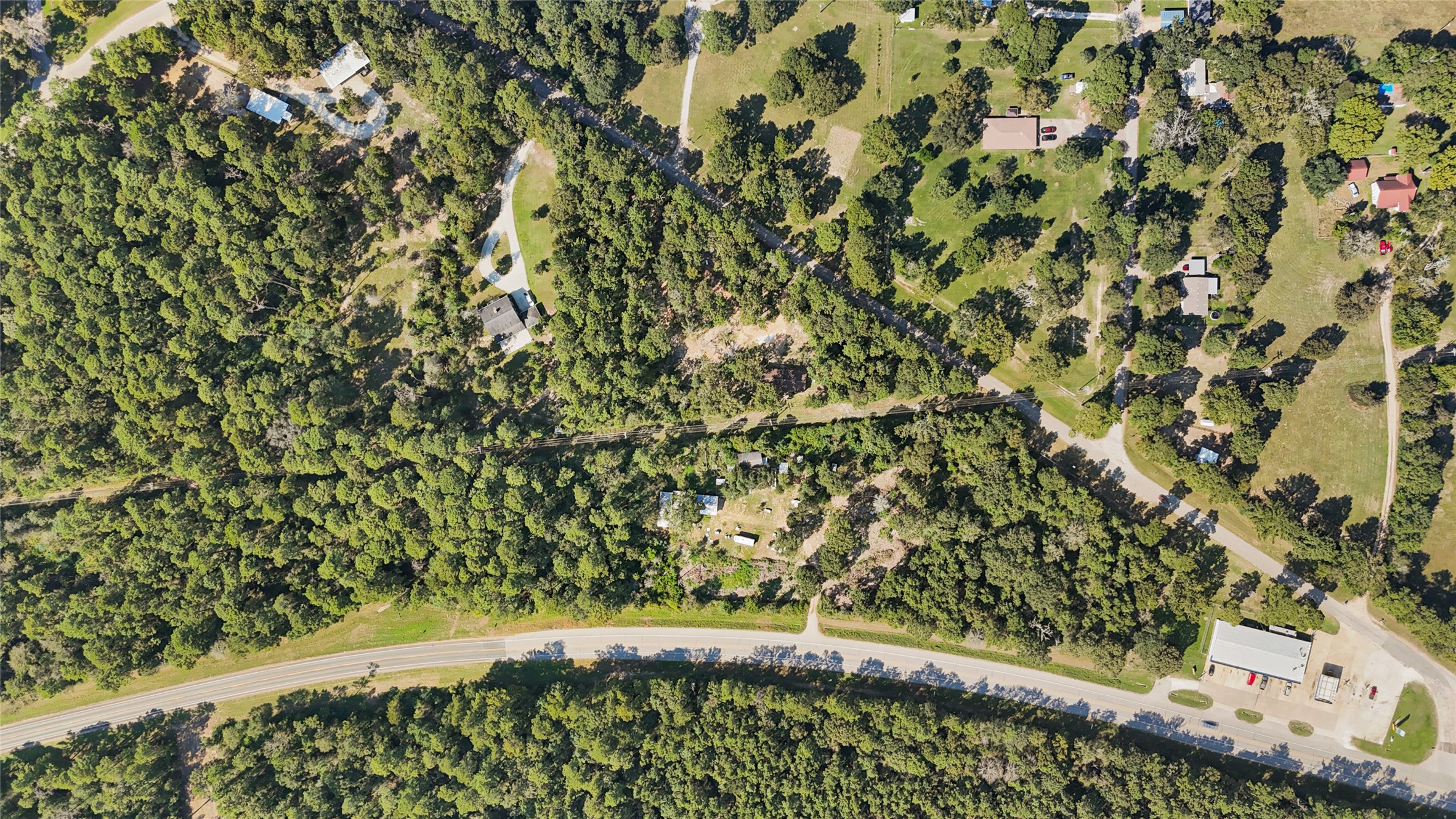 157 Jim Browder Road Willis, TX 77378 - Photo 10 of 17 a view of a yard with a plant
