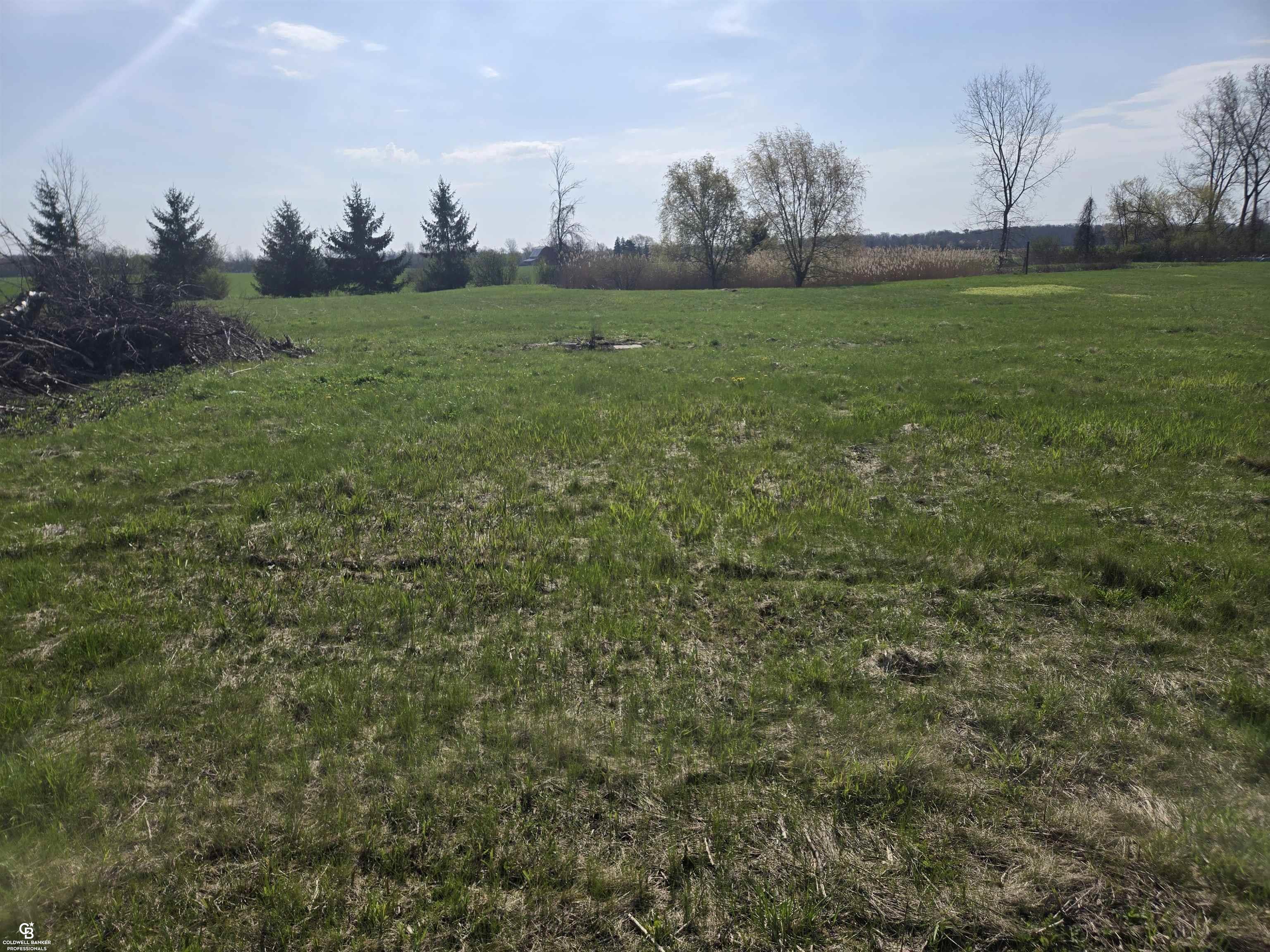 0 Brockway Vl Road Yale, MI 48097 - Photo 3 of 13