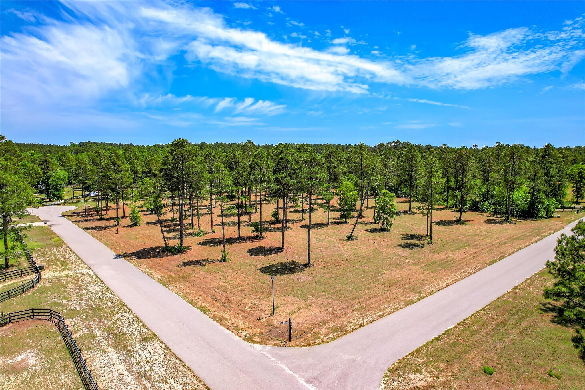 Lot 19 Rembert Place Aiken, SC 29803 - Photo 3 of 10 Gallery Image 3