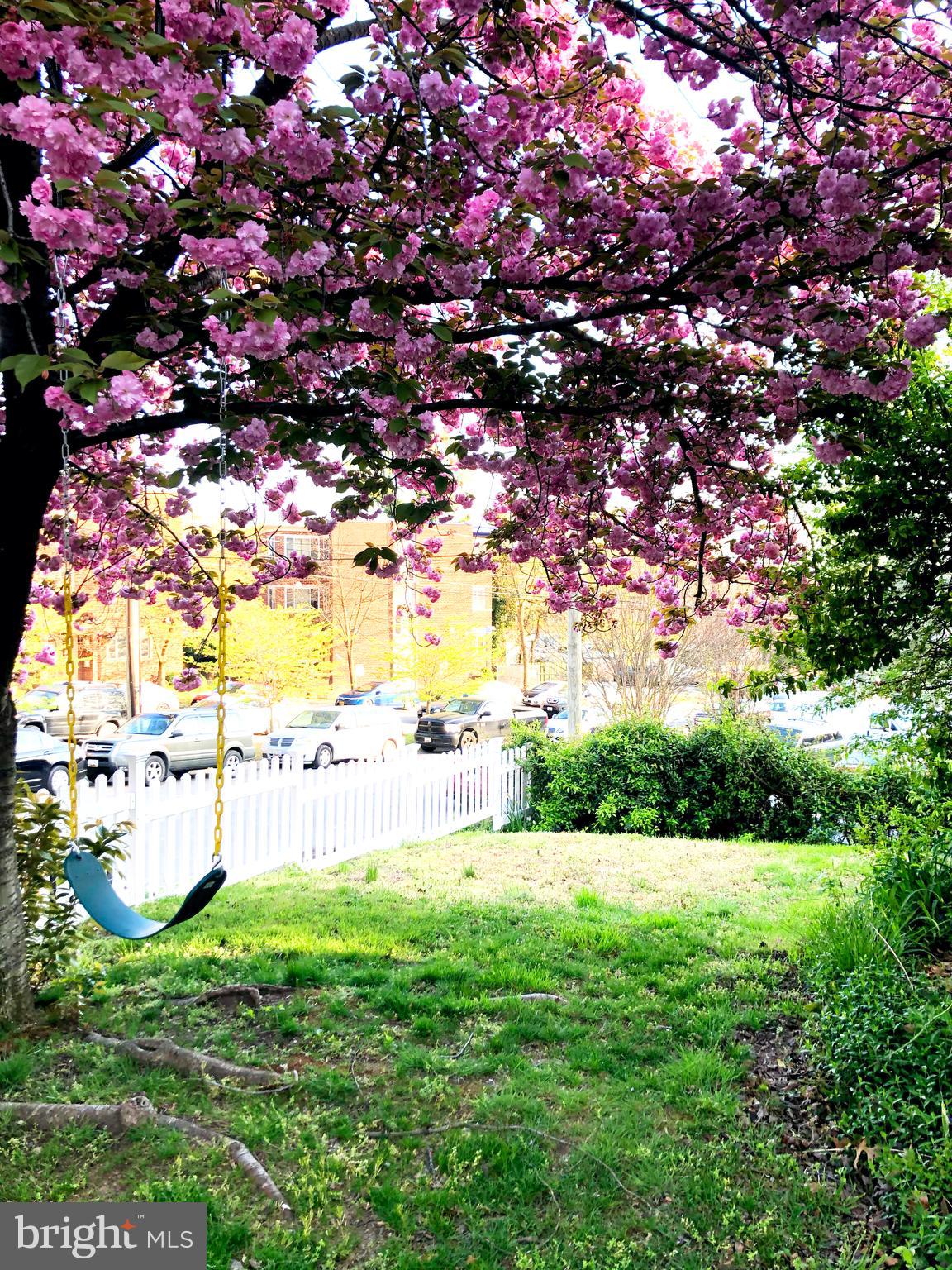 8816 Glenville Road Silver Spring, MD 20901 - Photo 32 of 34